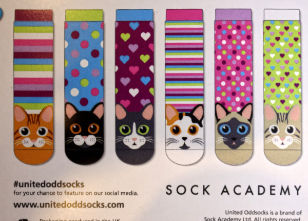 Cat Walk Odd Socks